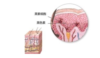 美容学校