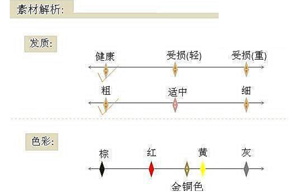 大多数人的审美标准  石家庄美发学校