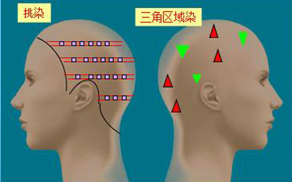 配色方案   石家庄美发学校